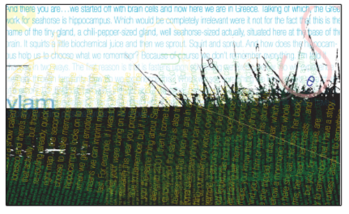 Typographic Performance page 19